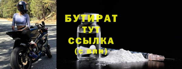 гидра Богородицк