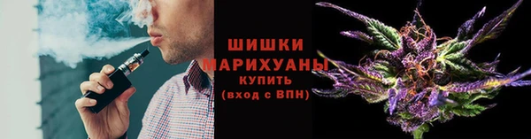 спиды Богородск