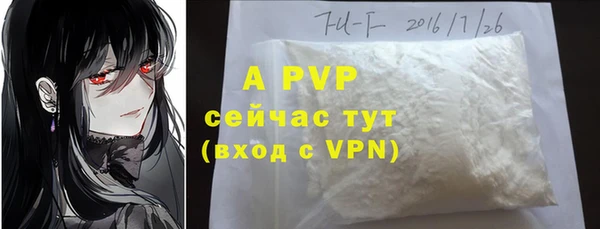 прущие крисы Богданович