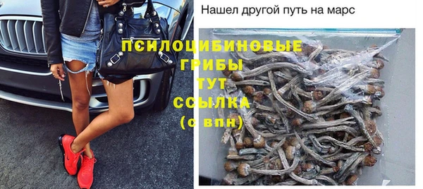 прущие крисы Богданович