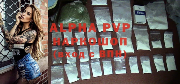 гидра Богородицк