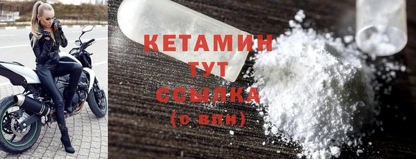 гидра Богородицк