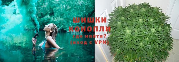 гидра Богородицк