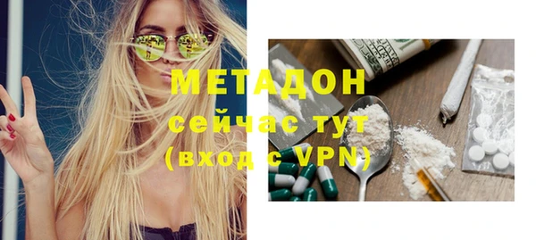 гидра Богородицк