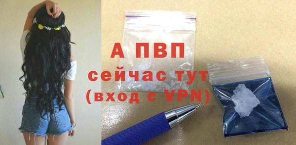 спиды Богородск