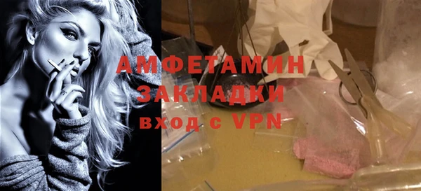 гидра Богородицк