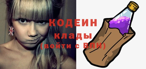 гидра Богородицк