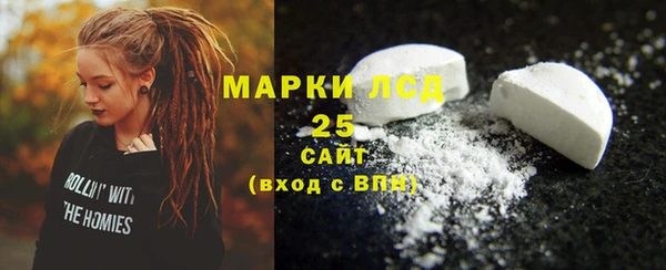 гидра Богородицк