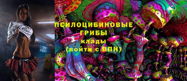 гидра Богородицк