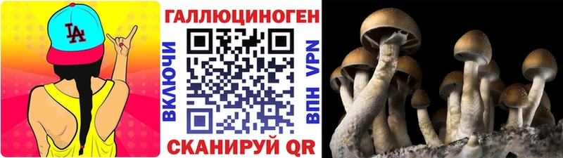 купить наркотик  Невельск  Псилоцибиновые грибы ЛСД 